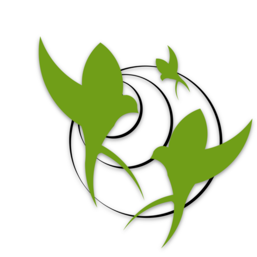 Mockingjays Are Just Curious